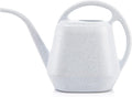 Fasmov Plastic Watering Can, 1-Gallon