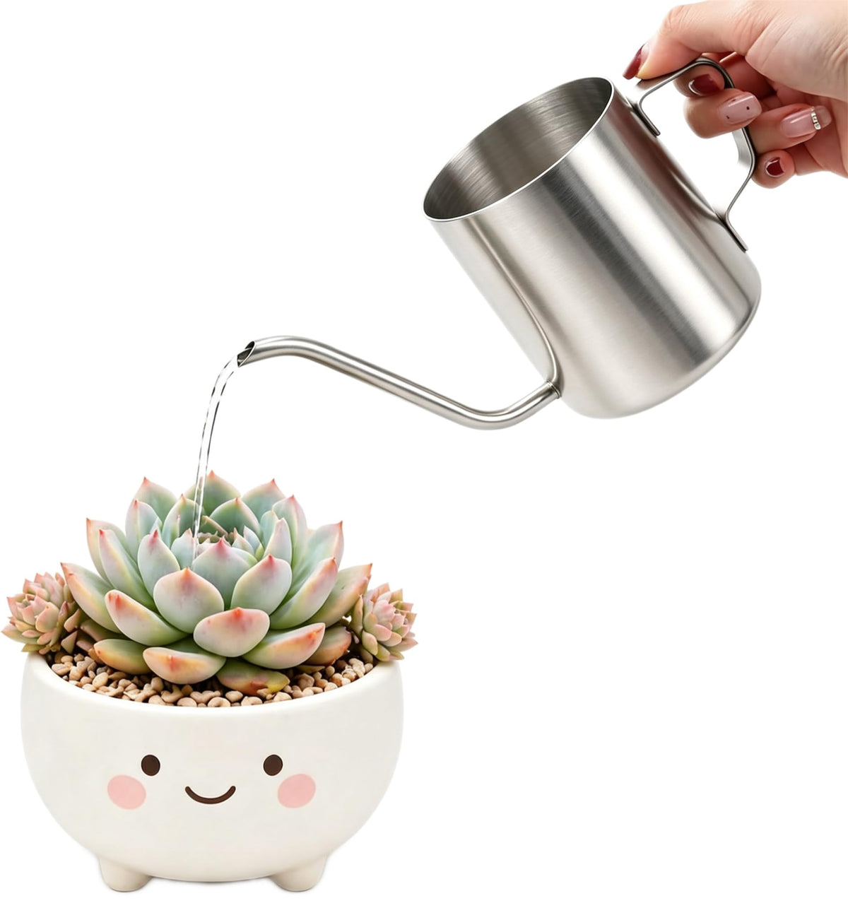 Watering Can for Indoor Plants, 12 oz / 350 ml Mini Plant Waterer, Stainless Steel Watering Can with Long Spout for House Plants, Succulents and Garden Decorative, Gentle Flow & No Spills