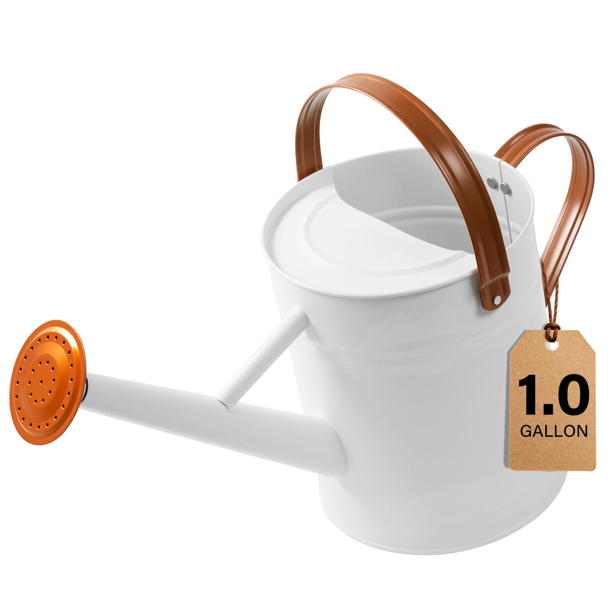 1 Gallon Watering Can for Outdoor&Indoor Plants，Yellow