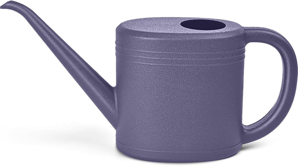Watering Can - for Indoor and Outdoor Plant Garden - 1/4 Gallon - Green