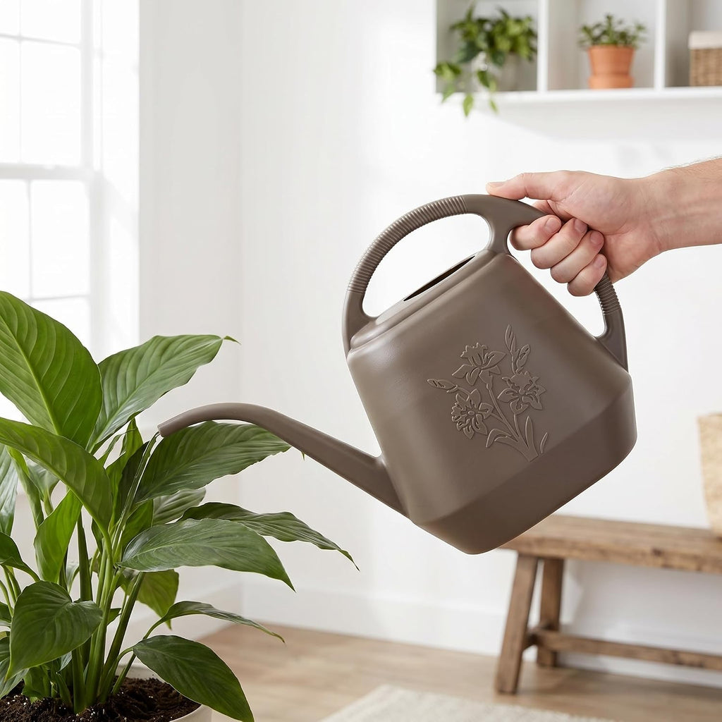 Fasmov 1-Gallon Plastic Watering Can with Comfortable Handle, Garden Watering Cans Long Spout for Indoor Outdoor Watering Plants, Gray