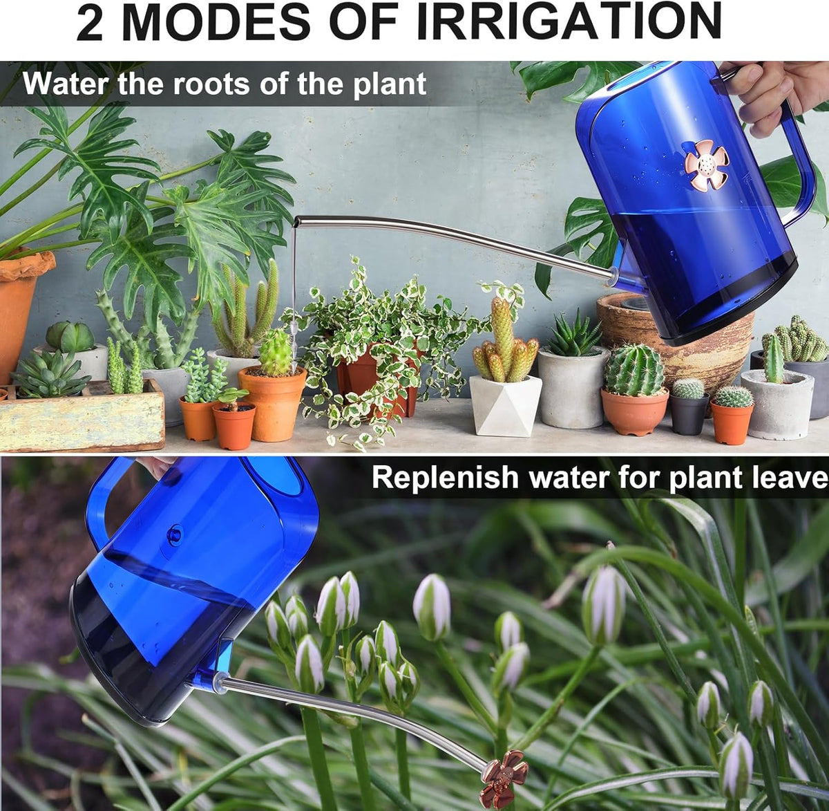 Watering Can Indoor for House Plants Small Watering cans with Long Spout Flower Model Sprinkler Head 1.2L (Blue, 1.2L)