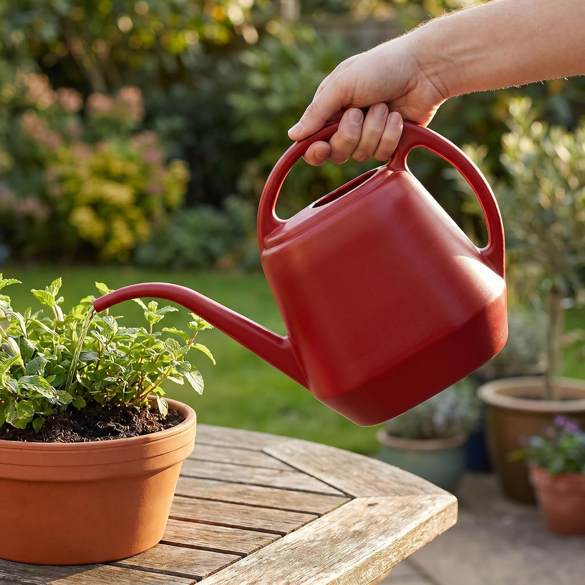 Fasmov Plastic Watering Can, Burnt Red, 1-Gallon